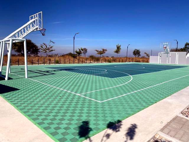 Multicancha
